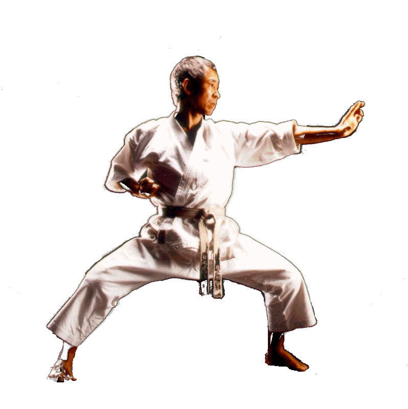 Fudokan Karate-Do Braunshausen e.V.